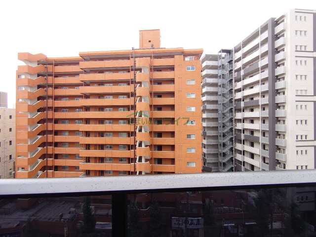 眺望　ザ・パークハビオ文京江戸川橋