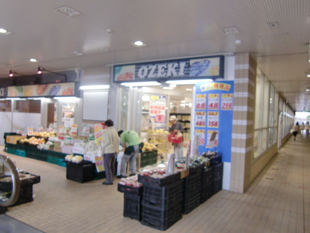 スーパー　スーパーオオゼキ市川店（スーパー）まで1036m