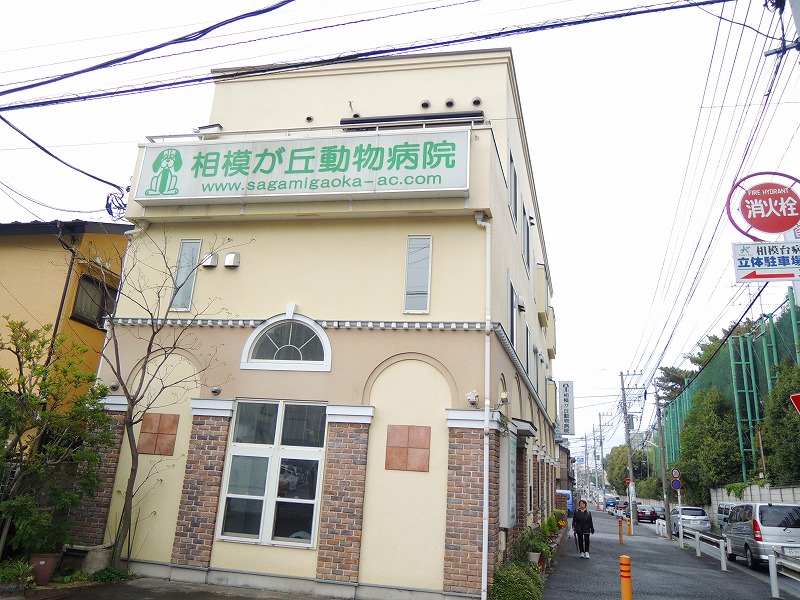 病院　相模が丘動物病院（病院）まで387m