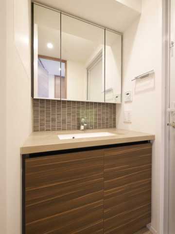 洗面設備　ザ・パークハビオ新宿※他のお部屋の参考写真となります