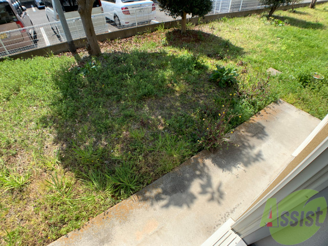 バルコニー　バルコニーは洗濯物が干せるようになっています。緑が綺麗ですね