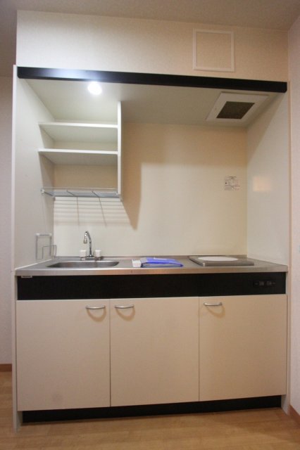 キッチン　同物件、別号室のものです。