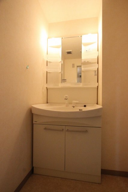洗面設備　同物件、別号室のものです。
