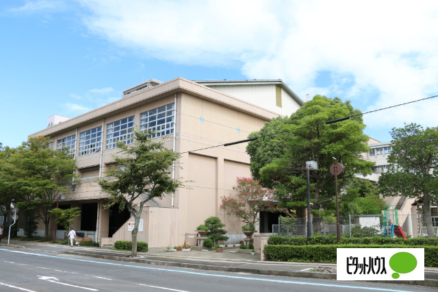 小学校　松江市立中央小学校（小学校）まで318m