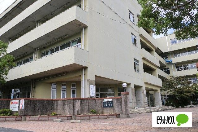 中学校　松江市立第三中学校（中学校）まで789m