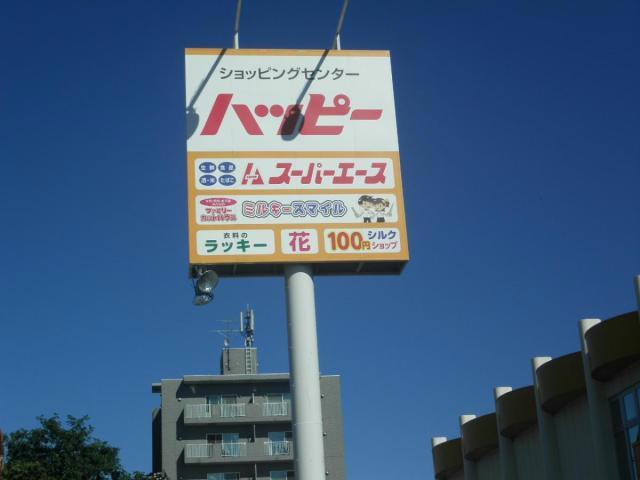 スーパー　スーパーエース30条店（スーパー）まで425m