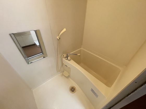 バス・シャワールーム　※別部屋の写真です