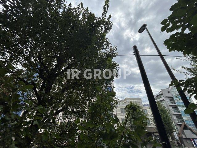 眺望　※別部屋参考写真