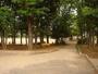 公園　有馬中央公園（公園）まで397m