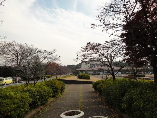 その他　松戸運動公園（その他）まで966m