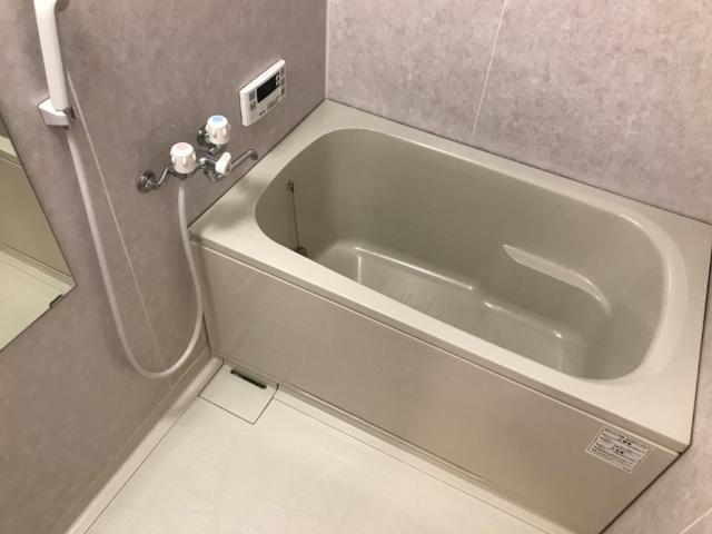 パワーピーチの風呂写真