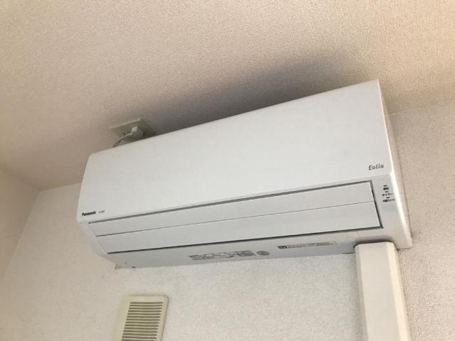 パワーピーチのその他写真