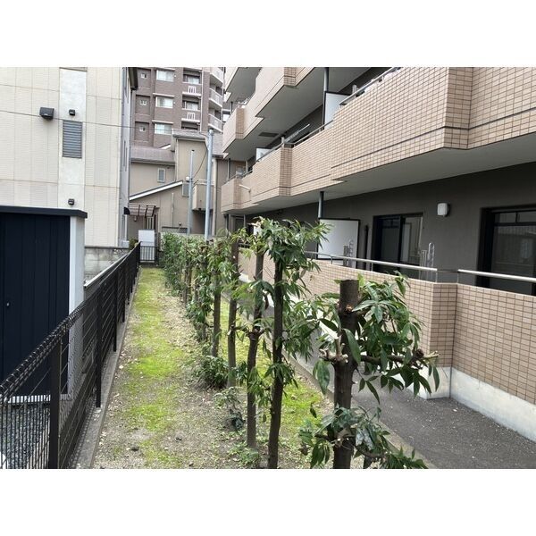 庭