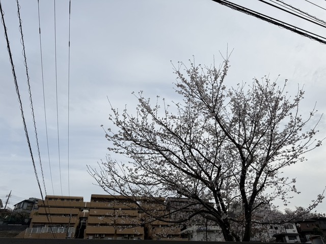 眺望　別部屋参考写真です