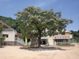 幼稚園・保育園　徳島市立津田幼稚園（幼稚園・保育園）まで490m
