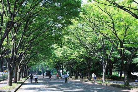 公園　都立駒沢公園西口（公園）まで948m