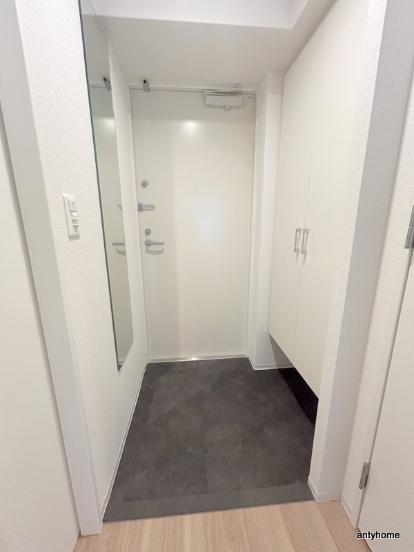 セレニテ谷町四丁目アリエの玄関写真