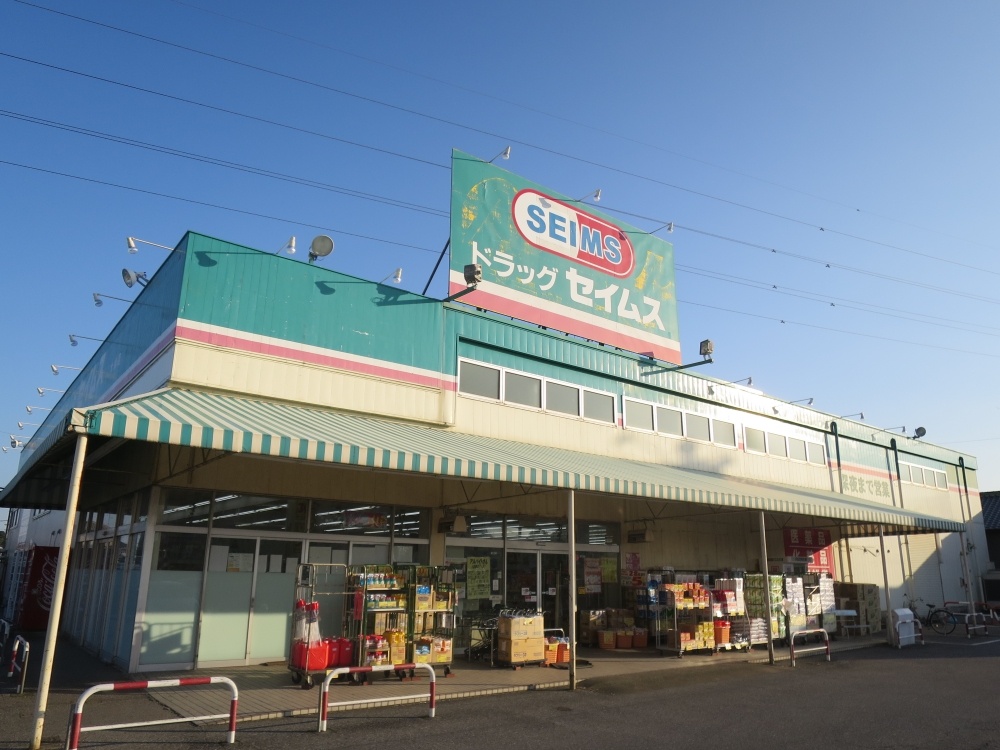 ドラックストア　セイムス大網店（ドラッグストア）まで479m