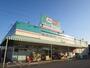 ドラックストア　セイムス大網店（ドラッグストア）まで479m