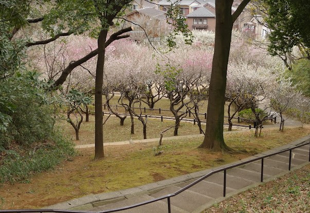公園　岡村公園（公園）まで3000m