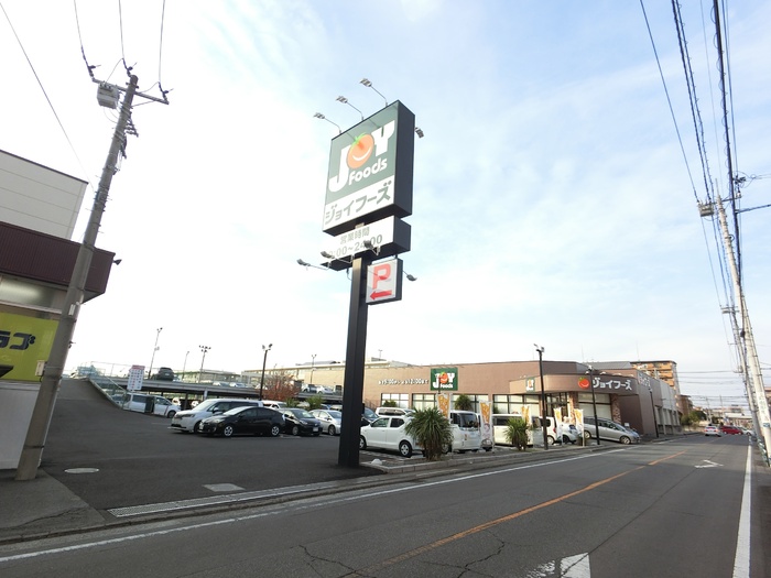 スーパー　ジョイフーズ前橋南店（スーパー）まで537m