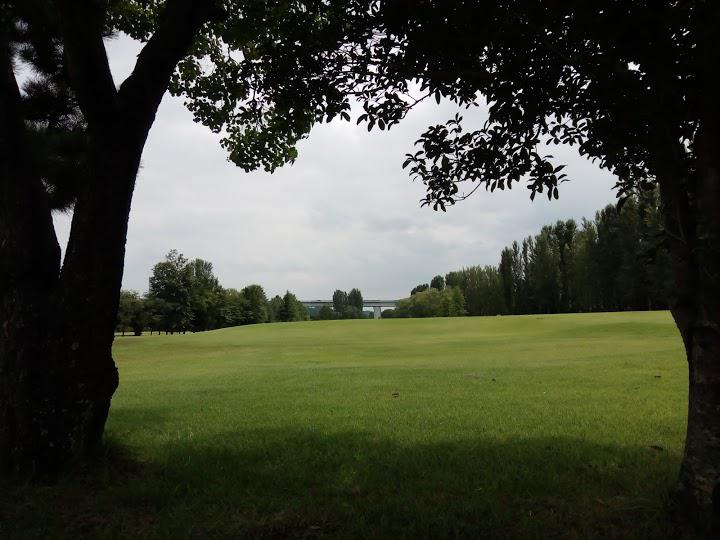 公園　中村緑地（公園）まで470m