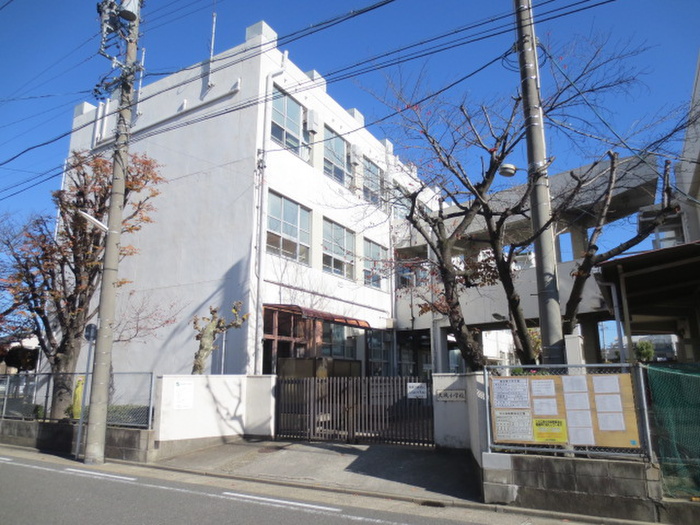 小学校　大磯小学校（小学校）まで597m