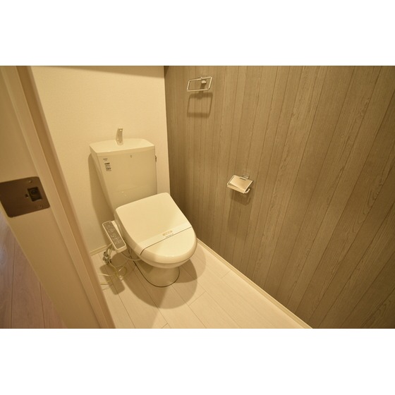 D-room富山のトイレ写真