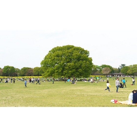 公園　国営昭和記念公園（公園）まで631m