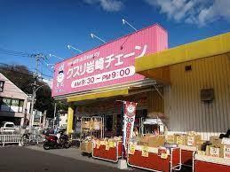 ドラックストア　クスリ岩崎チェーン広島府中南店（ドラッグストア）まで435m