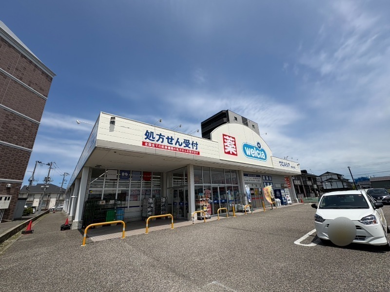 ドラックストア　ウエルシア新潟小新店（ドラッグストア）まで256m