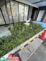 庭　庭