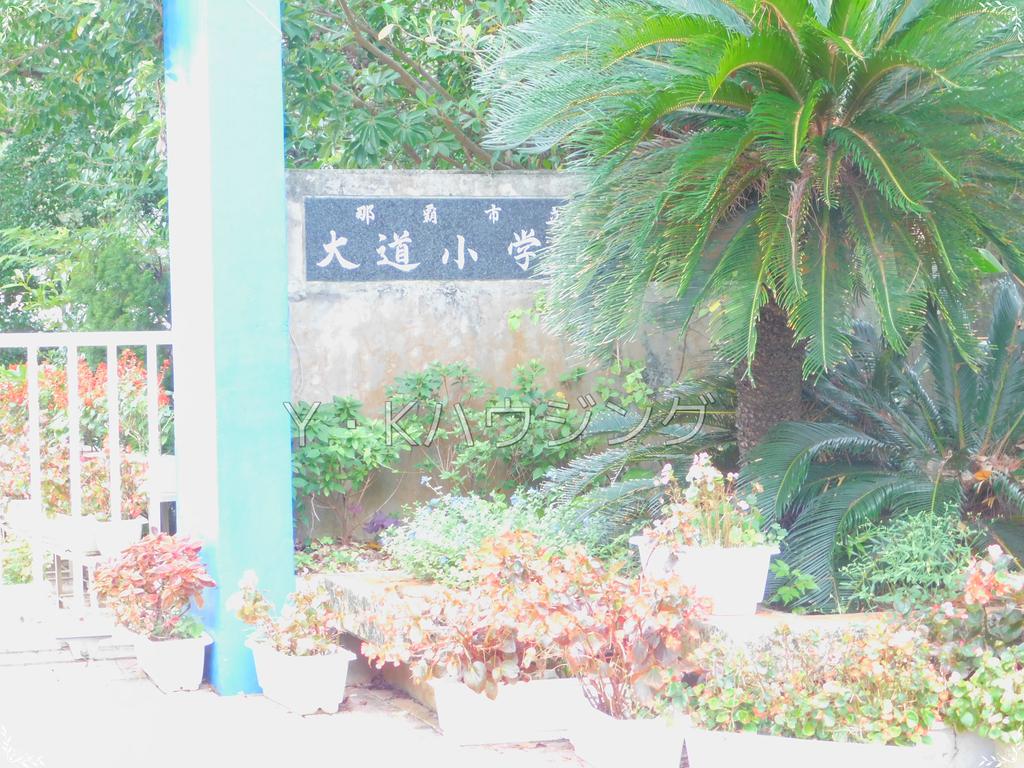 小学校　那覇市立大道小学校（小学校）まで286m