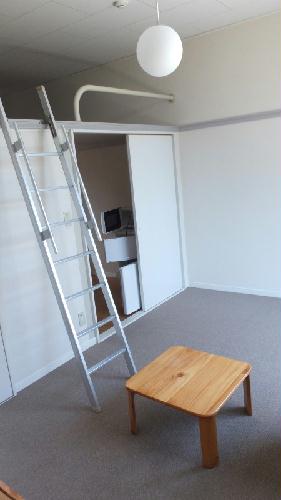 居室・リビング　ロフト有り：はしごを使ってご利用いただけます。