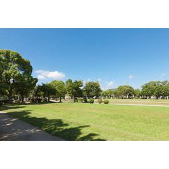 ドラックストア　クスリのアオキ高茶屋店（ドラッグストア）まで1172m