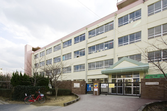 小学校　高槻市立玉川小学校（小学校）まで719m