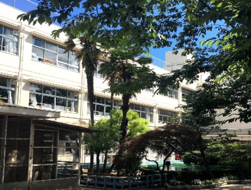 小学校　武蔵丘小学校（小学校）まで771m