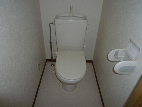 ロイヤルガーデン稲里 ABのトイレ写真
