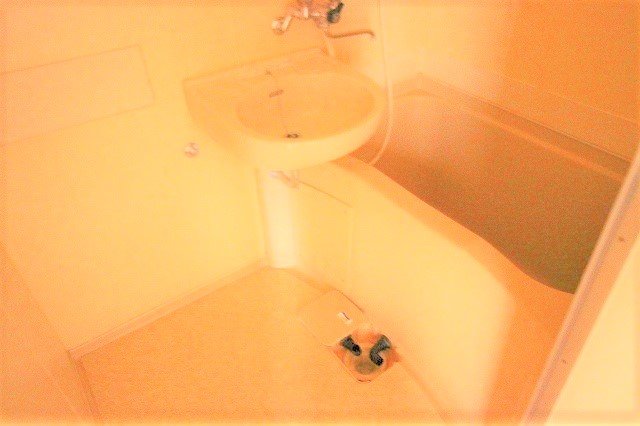 バス・シャワールーム　同物件別部屋