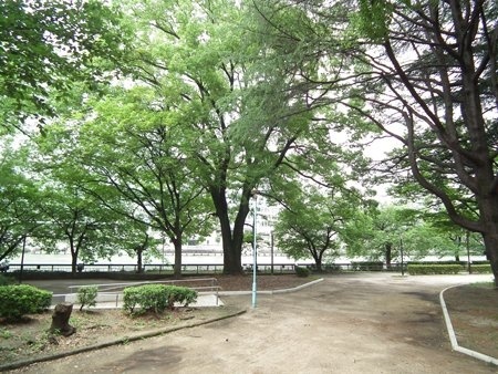 【大阪市北区天満のマンションの公園】