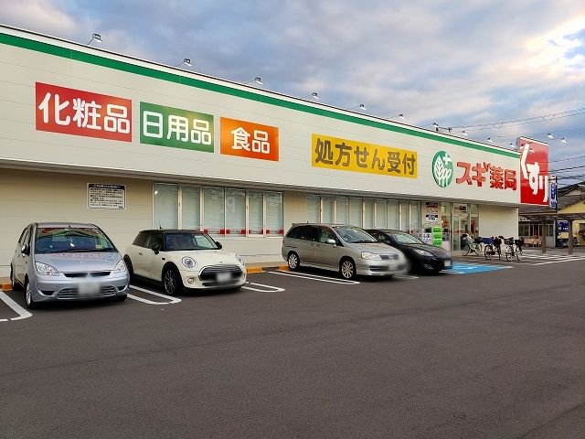 ドラックストア　スギ薬局　東大阪楠根店（ドラッグストア）まで270m
