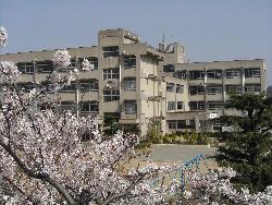 小学校　姫路市立　広畑小学校（小学校）まで800m