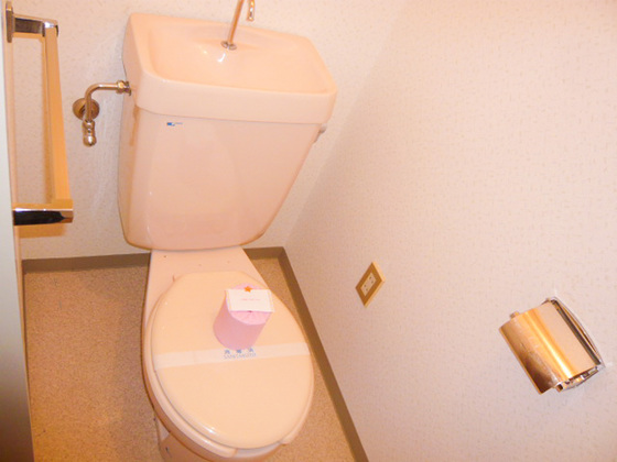 トイレ　※別部屋の写真です