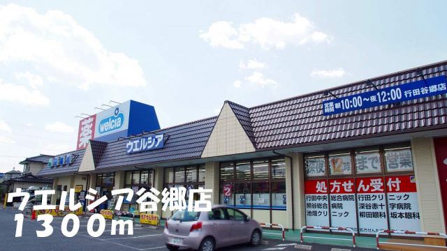 ドラックストア　ウエルシア谷郷店（ドラッグストア）まで1300m