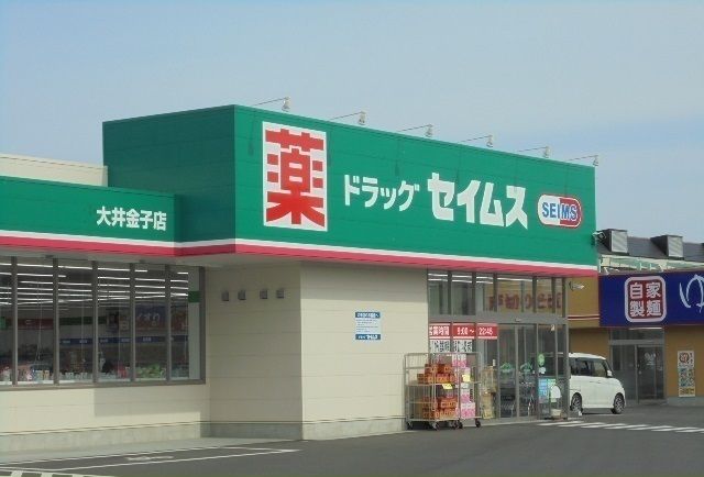 ドラックストア　セイムズ大井金子店（ドラッグストア）まで80m