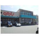 スーパー　アルビス立山インター店（スーパー）まで1294m