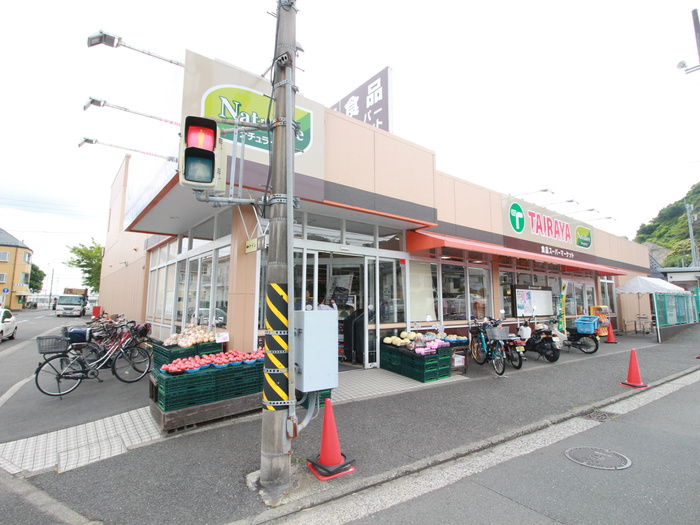 スーパー　TAIRAYA（スーパー）まで160m