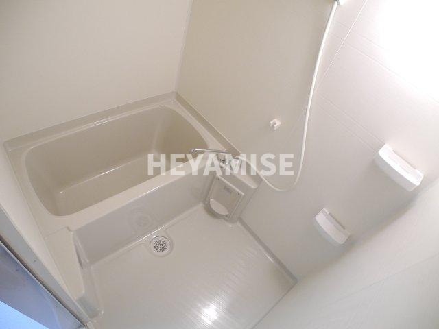 バス・シャワールーム　※同間取りの別の階のお部屋の画像です※現況を優先します