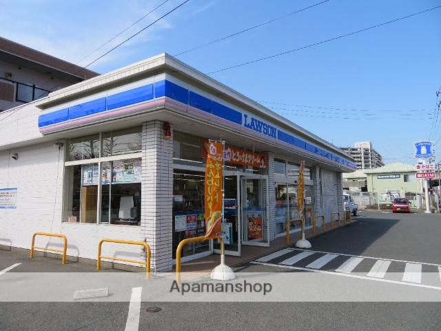 コンビニ　ローソン（コンビニ）まで317m