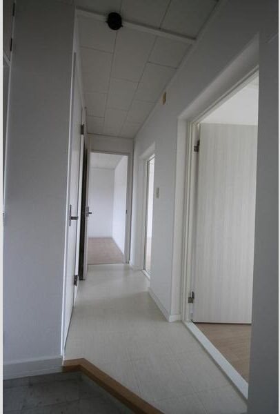 その他　※現況優先